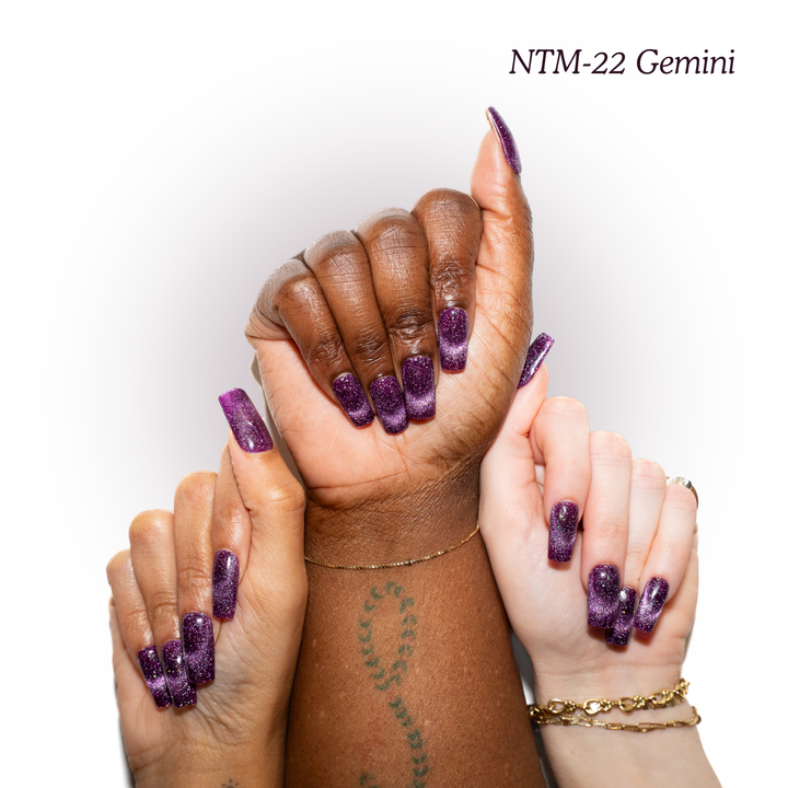 NTM-22 Gemini