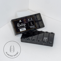 Gelip Bond MOCHI