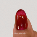Dramatic Magnet DR-16 Dramatic Ruby