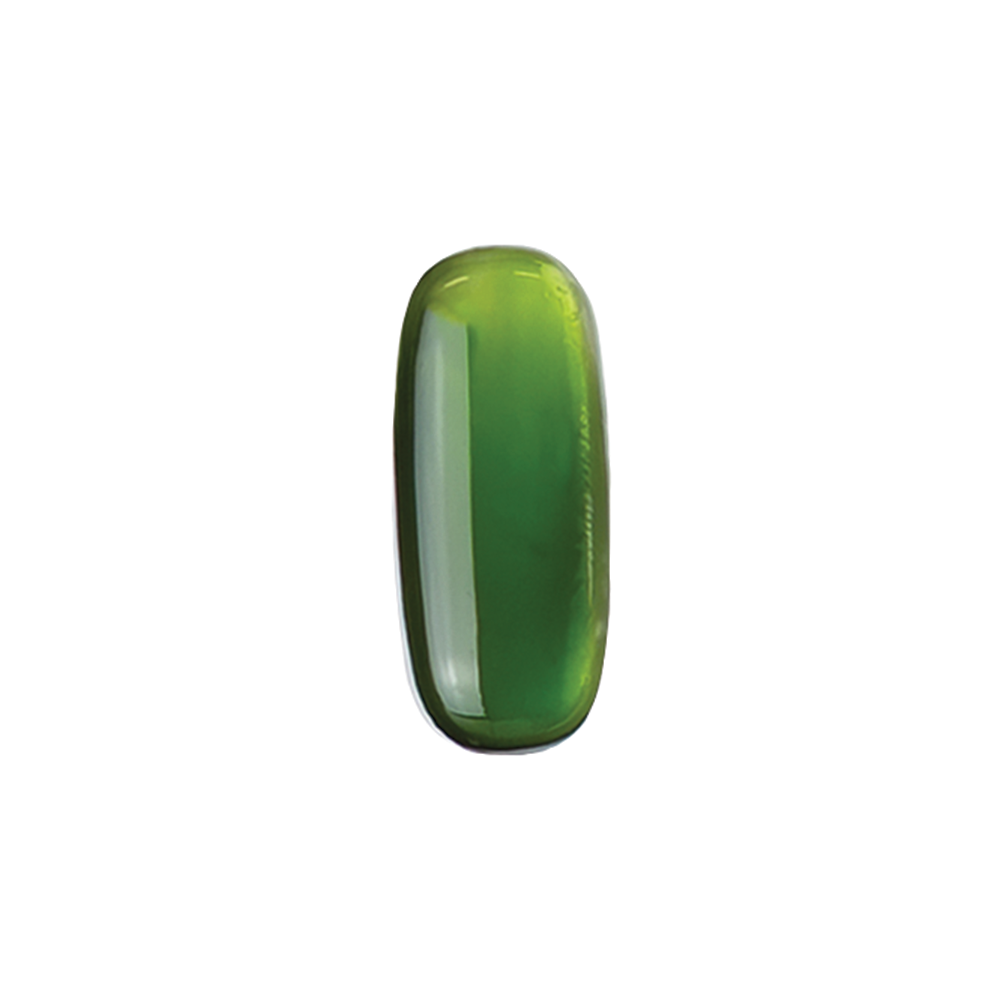 E-284S Deep Forest Glass