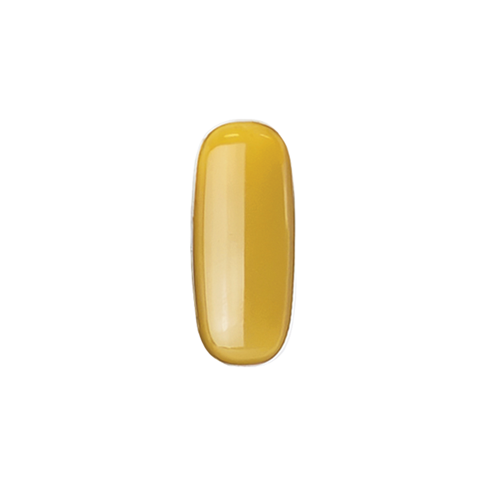 E-292  Saffron Rice