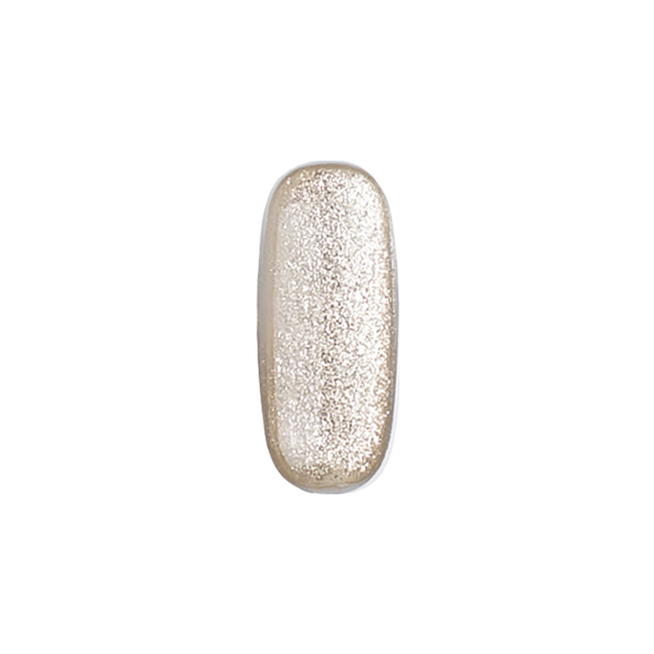 E-52 Silver Micro Glitter