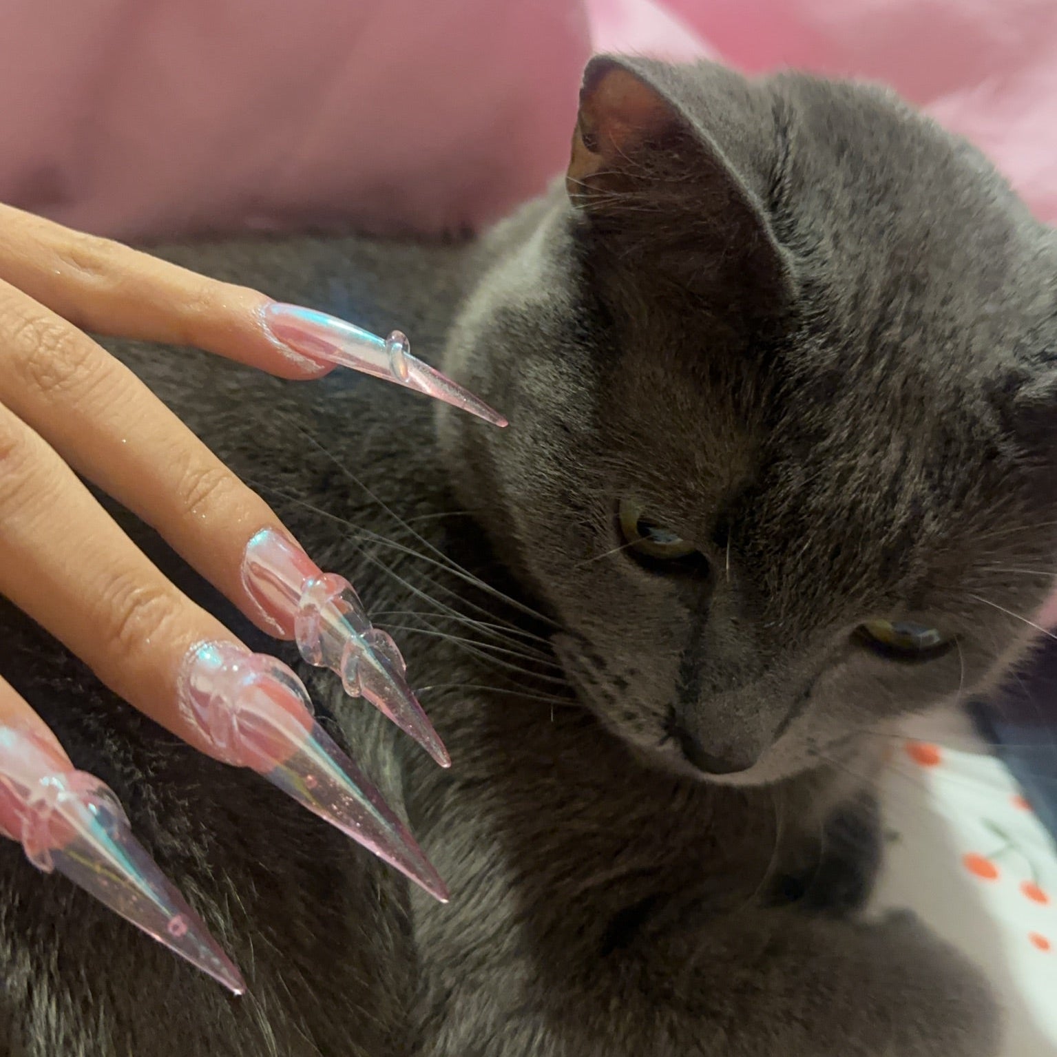 シェルコンラップ Cat Claw Crazy Gelip – KOKOIST USA