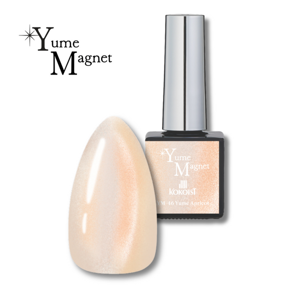 Yume Magnet YM-46 Yume Apricot