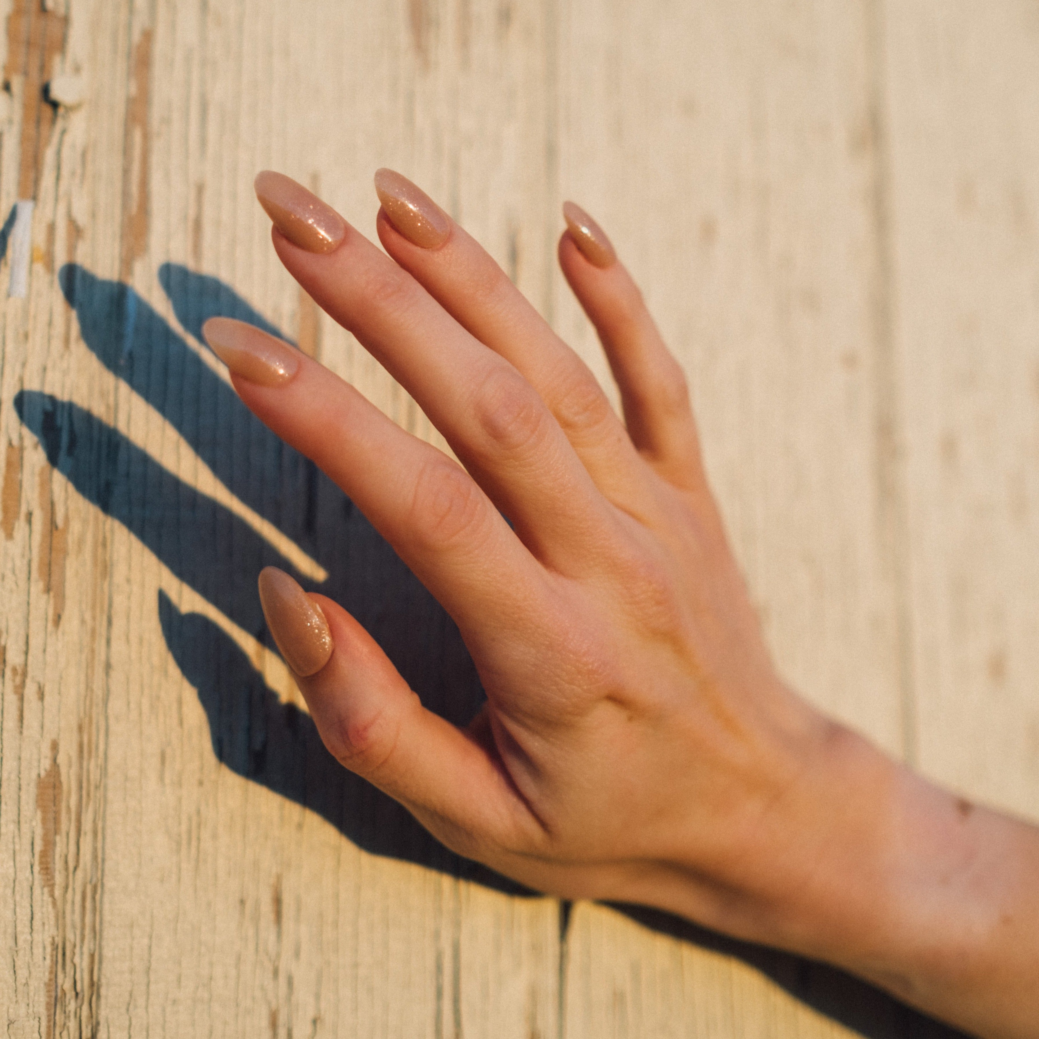 NT-03 Desert Road – KOKOIST USA