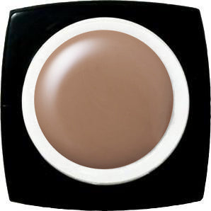 E-254 Milk Chocolate Concealer